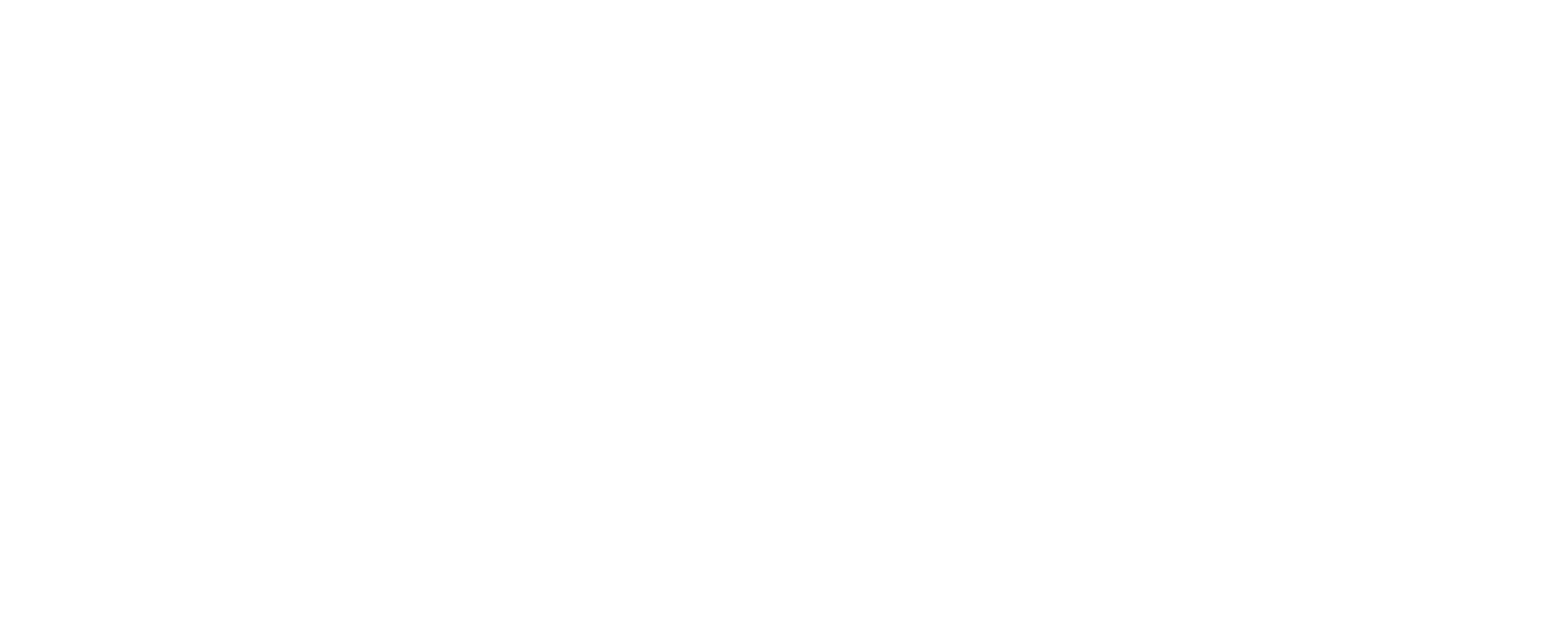 logo ecrin